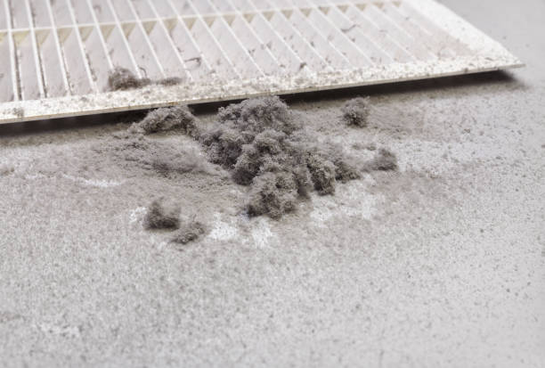 Best Ventilation Cleaning Services  in Nebo, NC